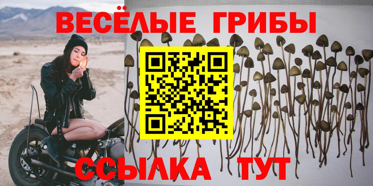 Псилоцибиновые грибы прущие грибы  Вход с VPN  Донецк 