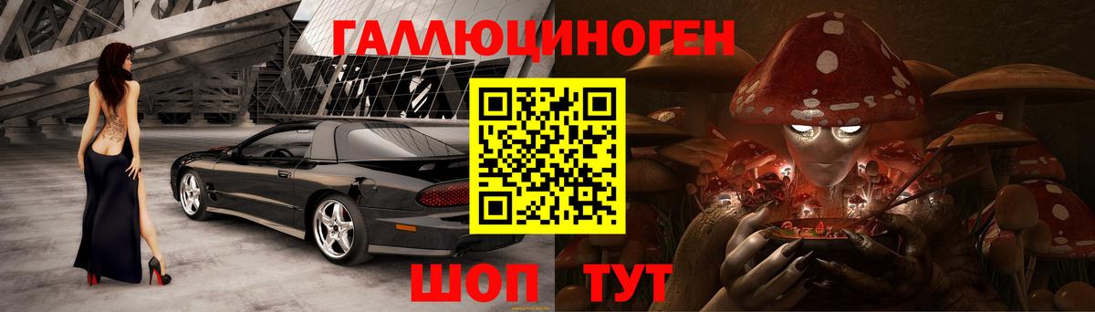 Галлюциногенные грибы Psilocybe  Псилоцибиновые грибы мухоморы  Донецк 